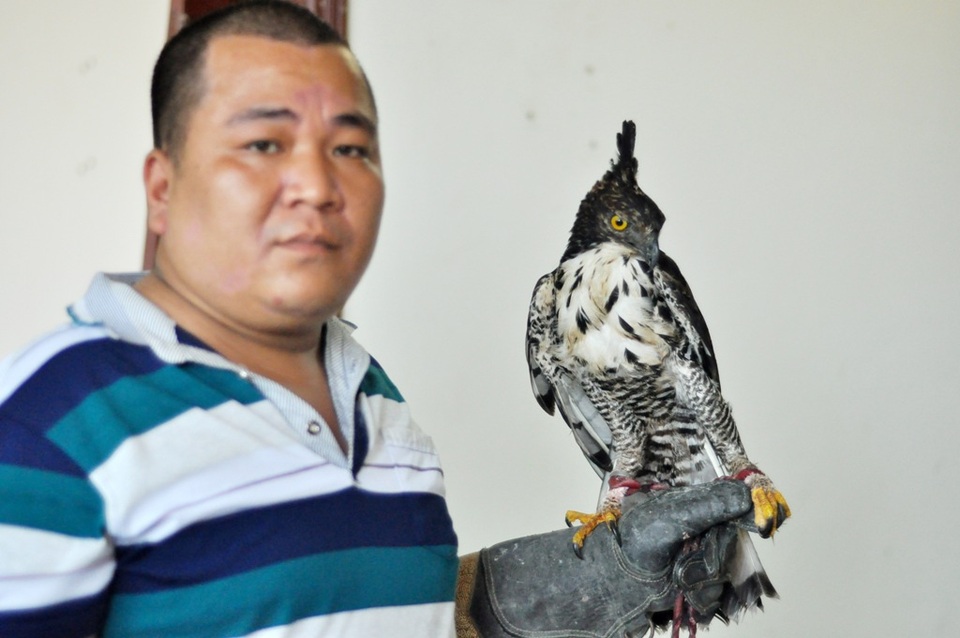 Bộ sưu tập chim săn giá 300 triệu của dân chơi Hà Nội - 14 Bắt đầu chơi chim săn mồi từ năm 2013, hiện nay anh Minh đang là phó chủ nhiệm CLB chim săn mồi Hà Đông (Hà Nội). Theo anh Minh, ở Hà Nội hiện nay thú chơi chim săn mồi đã phát triển thành trào lưu thu hút khá đông người tham gia. Trong đó rất nhiều dân chơi sở hữu bộ sưu tập chim săn quý có giá lên tới cả tỷ đồng.