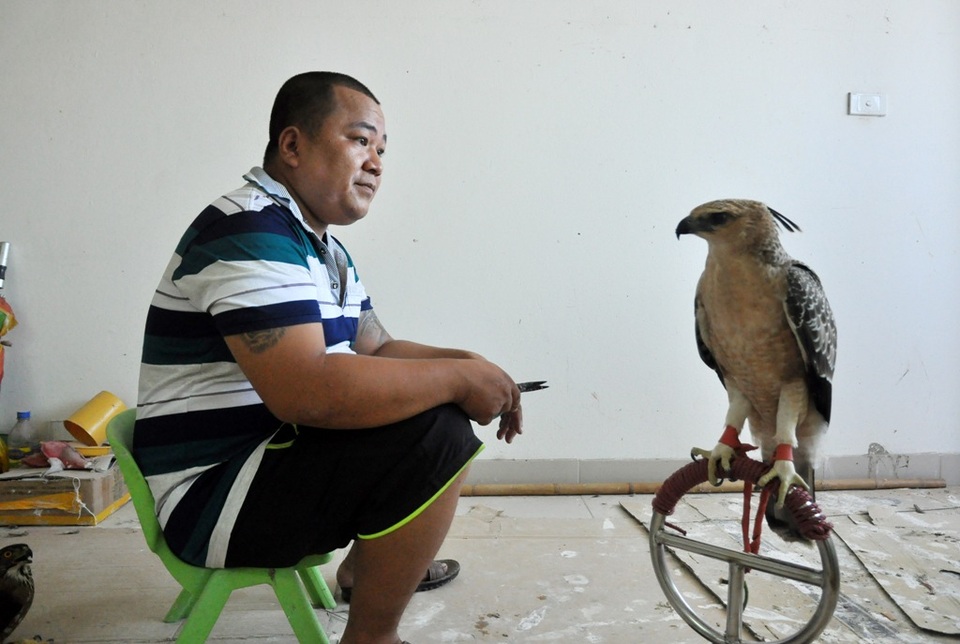 Bộ sưu tập chim săn giá 300 triệu của dân chơi Hà Nội - 8 Theo anh Minh ở Việt Nam, đắt nhất là chim đại bàng, giá “bèo” nhất cũng vài chục triệu đồng, những con trưởng thành có giá cao gấp nhiều lần. Các loài chim ưng và cắt nhỏ thì giá rẻ hơn, không quá 5 triệu đồng, tùy theo chim non, “chim bổi” (mới bắt về) hay đã thuần rồi. Tuy nhiên, anh Minh cho biết, việc định giá còn phụ thuộc vào nhiều yếu tố, nhiều con thuộc dòng quý hiếm có kỹ năng săn mồi tốt có thể được trả giá lên tới cả trăm triệu.