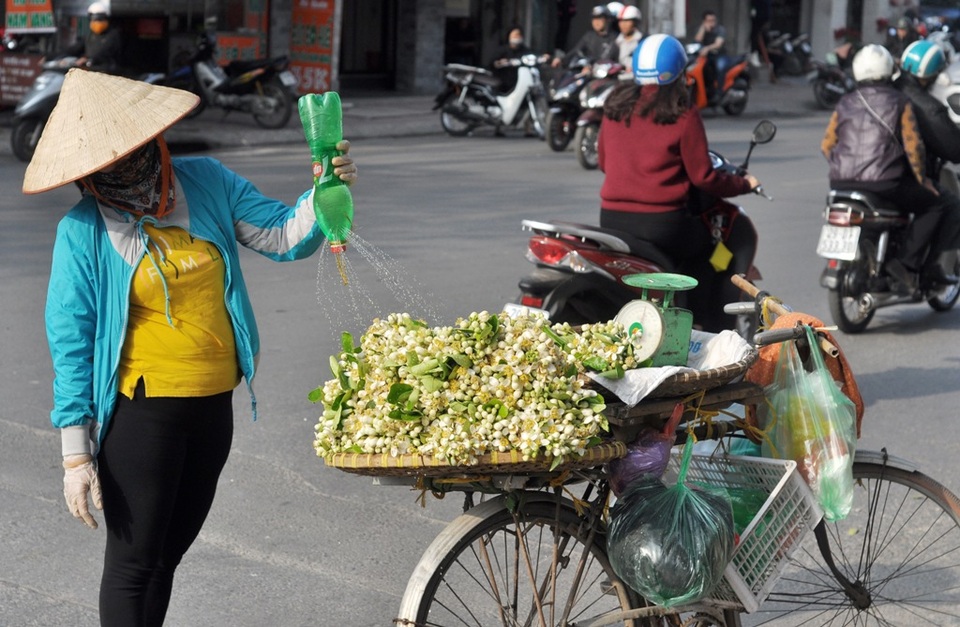 Hà Nội mùa hoa bưởi sớm - 2
Hoa bưởi bán trên phố chủ yếu được các lái buôn nhập từ Hòa Bình, Hưng Yên… Ở Hà Nội, hoa bưởi được bán rong nhiều trên phố Giảng Võ, Xã Đàn, Nghĩa Tân… Để lựa được những cành hoa đẹp nhất, người bán phải thức dậy cắt cành từ sáng sớm, khi những giọt sương vẫn còn đọng trên lá, sau đó bó lại thành từng chùm mang đi bán.