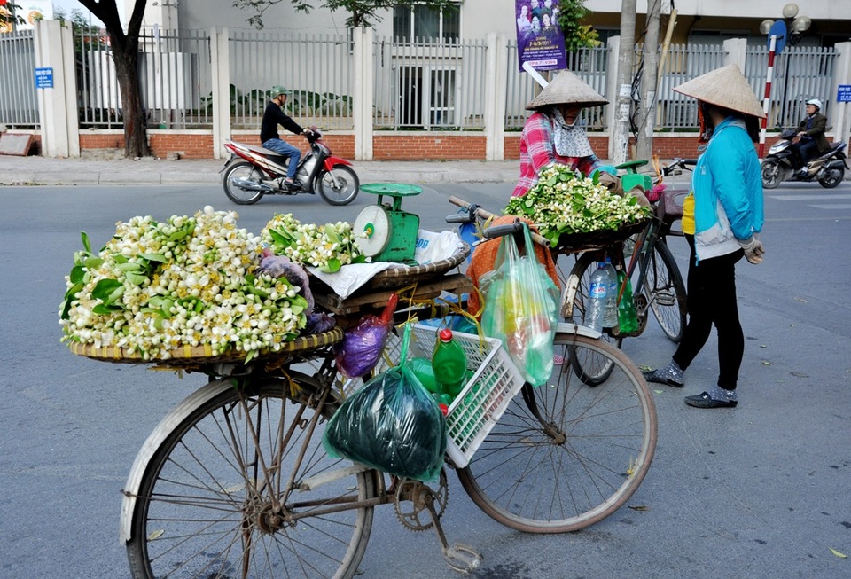 Hà Nội mùa hoa bưởi sớm - 1
Năm nay do thời tiết nắng ấm nên dù mới giữa tháng 2, hoa bưởi đã xuất hiện nhiều trên phố ở Hà Nội.