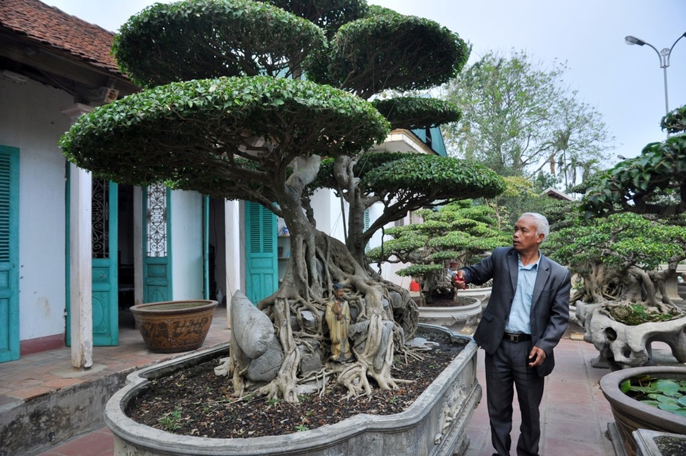 Vườn cảnh tiền tỷ của lão nông chơi cây nổi tiếng Hà thành - 1 
Ông Nguyễn Văn Ngọ (63 tuổi, Thạch Thất, Hà Nội) nổi tiếng trong giới chơi cây cảnh Hà thành nhờ sở hữu vườn cây cảnh độc đáo lên tới hàng trăm cây, trong đó có nhiều loại cây thuộc vào hàng quý hiếm “có một không hai”.