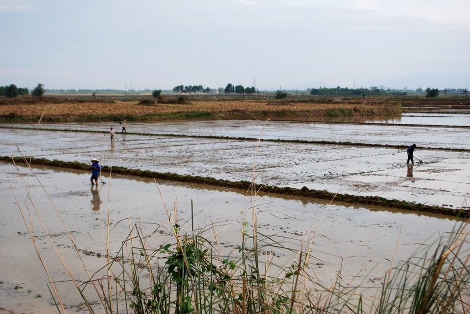 Người dân đi làm đồng chú ý khi mưa dông thường có sấm sét