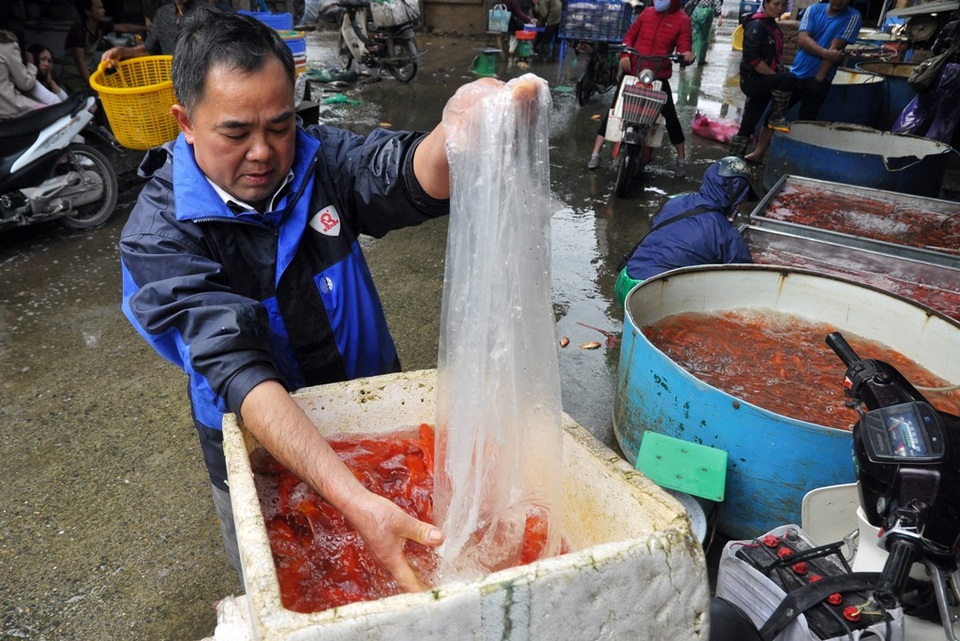 Chợ cá lớn nhất Hà Nội nhộn nhịp trước ngày ông Công ông Táo - 4
Chợ cá Yên Sở chỉ bán buôn không bán lẻ. Các lái buôn đổ về lấy hàng sau đó tỏa đi kháp các khu chợ bán lẻ trong nội thành Hà Nội, thậm chí nhiều tỉnh lân cận cũng đổ về đây mua cá.