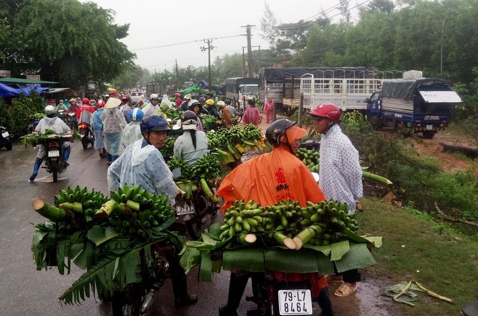 Nhộn nhịp chợ chuối Tết hơn 30 năm lớn nhất Nam Trung Bộ - 3 Cảnh họp chợ chuối nhộn nhịp dù thời tiết không thuận lợi