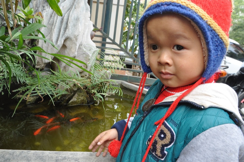Nhờ những tấm lòng hảo tâm, con đang được sống khỏe mạnh từng ngày - 2 Lần nào lên cơ quan Dân trí, cậu bé cũng thích thú với những con cá vàng.