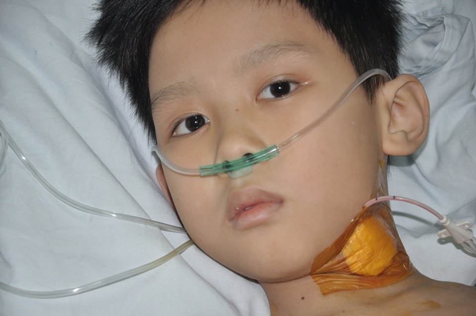 Tình cảnh nguy kịch của cậu bé 10 tuổi cần được ghép tim - 6 Gương mặt và ánh mắt của con nhìn chúng tôi như 1 điều ám ảnh.