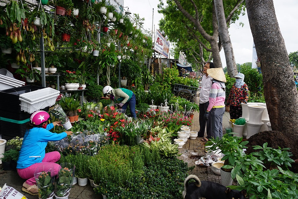 Nhiều ki-ốt quanh Tân Sơn Nhất xả hàng để trả đất cho quốc phòng - 5 Nhiều người ghé tiệm hoa để mua hoa với giá giảm phân nửa.