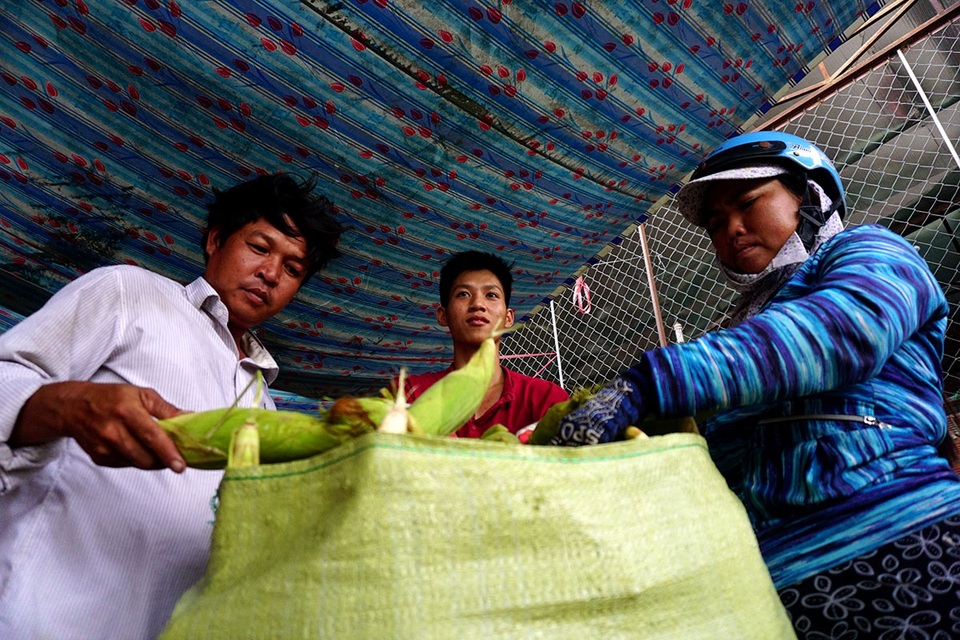 Bên trong chợ bắp lớn nhất Sài Gòn - 7 Có người dùng xe ba gác mua về, bỏ mối lại cho các tiểu thương khác