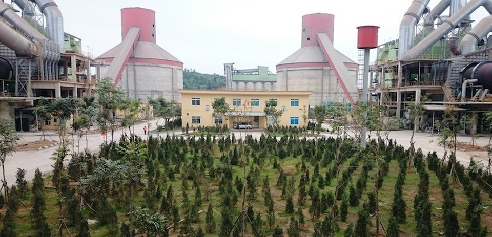 
Cây xanh đã được trồng phía trong khuôn viên nhà máy xanh tốt.
