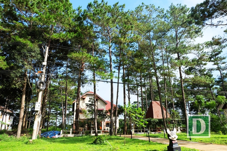 Kỳ thú hành trình “phượt” Măng Đen - 4
Theo những người dân ở đây kể, cách đây khoảng gần 10 năm, có một “làn sóng” nhà đầu tư đổ về Măng Đen xây hàng trăm nhà lưu trú dạng biệt thự ẩn mình giữa những rừng thông rất nên thơ. Song việc kinh doanh không hiệu quả vì nhiều lý do, khiến nhiều biệt thư đang xây dở dang thì dừng, hoặc xây xong rồi lại bỏ hoang. Vì vậy mà ở Măng Đen có một nơi gọi là làng biệt thự “ma”.