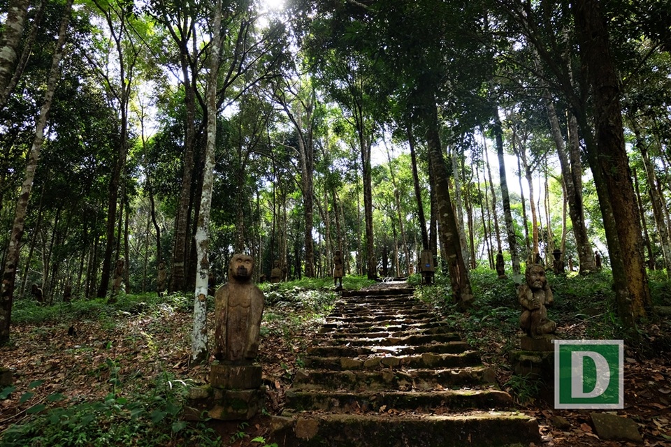 Kỳ thú hành trình “phượt” Măng Đen - 12
Khu vườn tượng gỗ thực sự là một bảo tàng nghệ thuật tạc tượng gỗ với vô số tác phẩm được chấm chọn qua các cuộc thi được tổ chức hàng năm ở Kon Tum. Các nghệ nhân đã thổi hồn vào trong từng pho tượng, để du khách đến đây có thể tìm hiểu đời sống văn hóa, sinh hoạt đời thường của các đồng bào dân tộc thiểu số ở Tây Nguyên từ những pho tượng thiếu nữ giã gạo, người mẹ địu con đi núi, chàng thanh niên săn trăn, tượng voi, vượn...