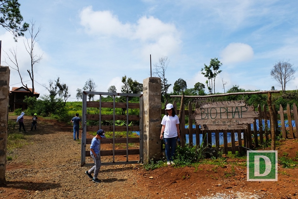Kỳ thú hành trình “phượt” Măng Đen - 9
Các nhà vườn, nông trại ở đây hầu như mở cửa cho du khách tự do ghé thăm, cảm nhận đất đỏ bazan thực sự là niềm ưu ái của tự nhiên dành cho nhà nông Tây Nguyên.
