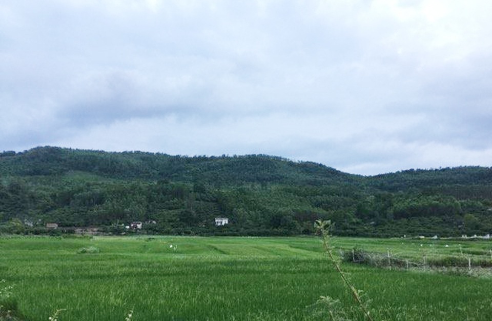 Vì sao dự án Công viên nghĩa trang An Phúc Viên ở Bắc Giang chậm triển khai? - 4 Khu đất rừng sản xuất mà Dự án Công viên nghĩa trang An Phúc Viên sẽ triển khai (Ảnh chụp tại thôn Vườn).