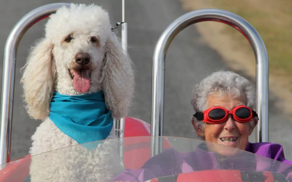 Mắc ung thư giai đoạn cuối nhưng cụ bà 91 tuổi vẫn quyết định chu du cùng gia đình bên chú có cưng