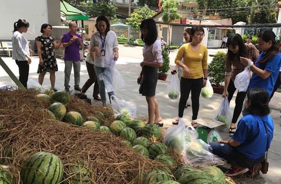 Người Sài Gòn "giải cứu" dưa hấu cho nông dân Quảng Ngãi - 3 Trưa 7/4, nhân viên văn phòng xuống đường mua dưa hỗ trợ nông dân