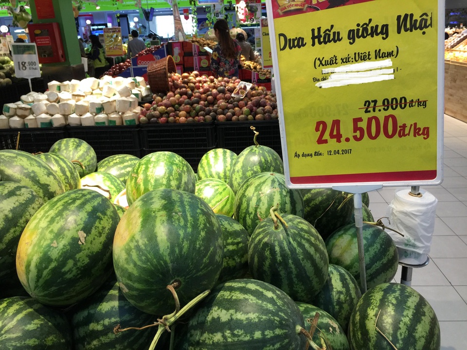 Dưa hấu Nhật trồng đất Việt đắt hơn 20 lần dưa hấu Quảng Ngãi - 3 Giá loại dưa ngoại tại siêu thị cao hơn nhiều so với giá mua tại vườn và giá bán trên thị trường.