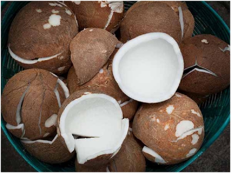 Lý do bạn nên ăn dừa khô - 1 Lý do bạn nên ăn dừa khô - 1