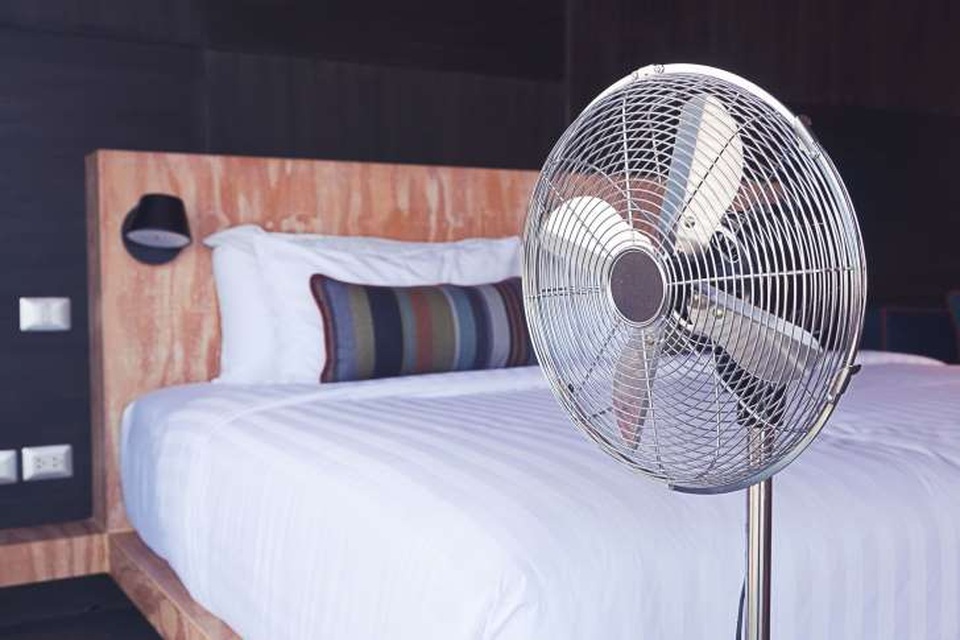 Đuổi muỗi với 5 mẹo đơn giản - 2 Đuổi muỗi với 5 mẹo đơn giản - 2