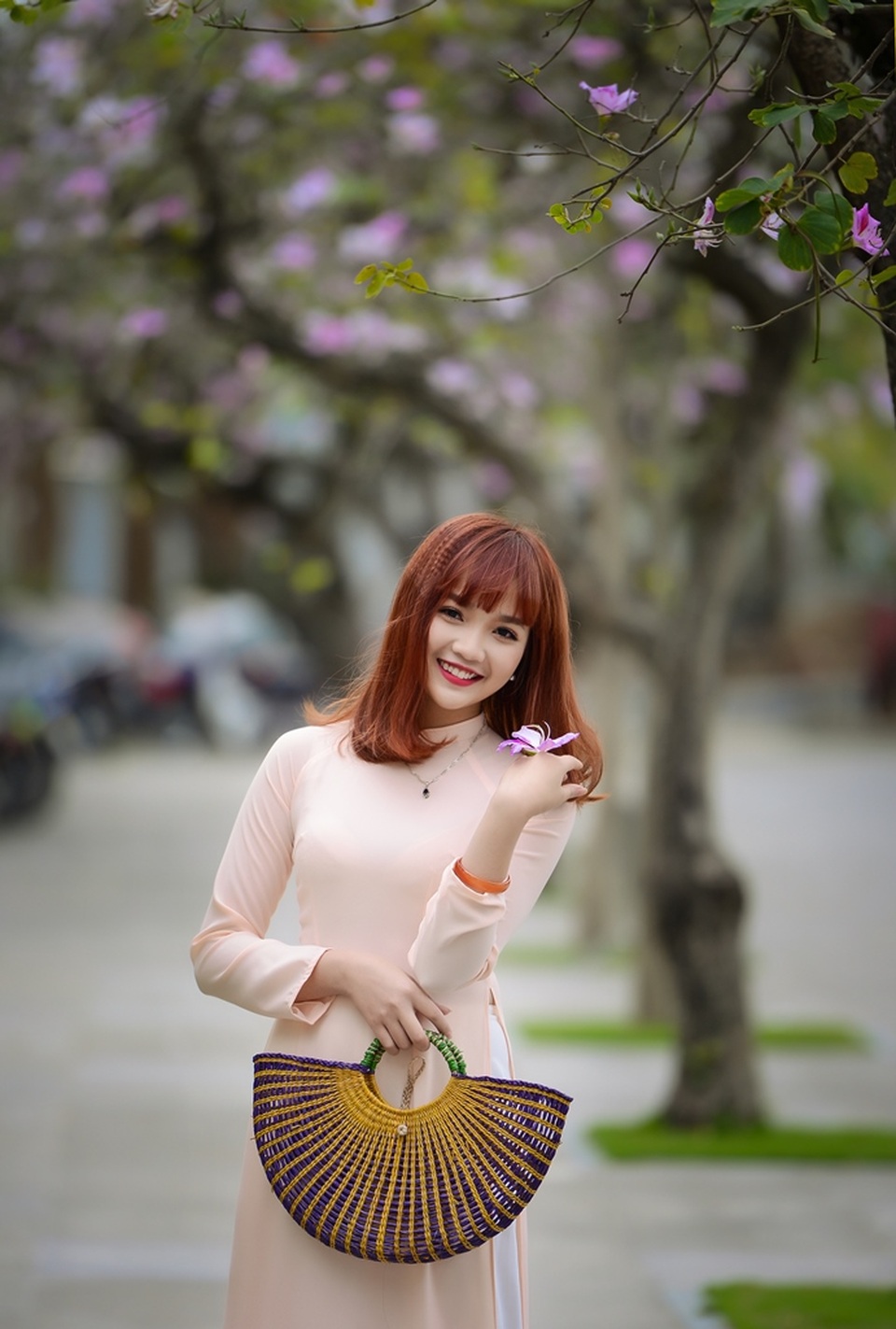 Nữ sinh Hà thành dịu dàng trong sắc hoa ban - 1 Nữ sinh Hà thành dịu dàng trong sắc hoa ban - 1