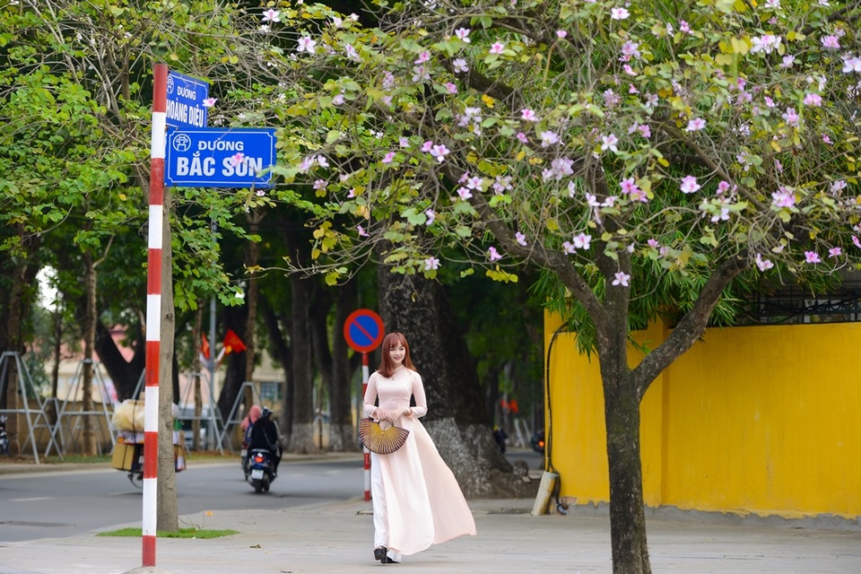 Nữ sinh Hà thành dịu dàng trong sắc hoa ban - 6 Nữ sinh Hà thành dịu dàng trong sắc hoa ban - 6
