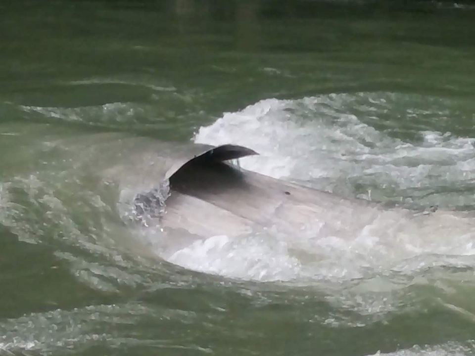 Phó Hạt trưởng khu bảo tồn thoát chết sau 10 ngày kẹt giữa rừng sâu - 1
Chiếc ghe của ông Hướng bị vỡ toang sau khi va vào đá