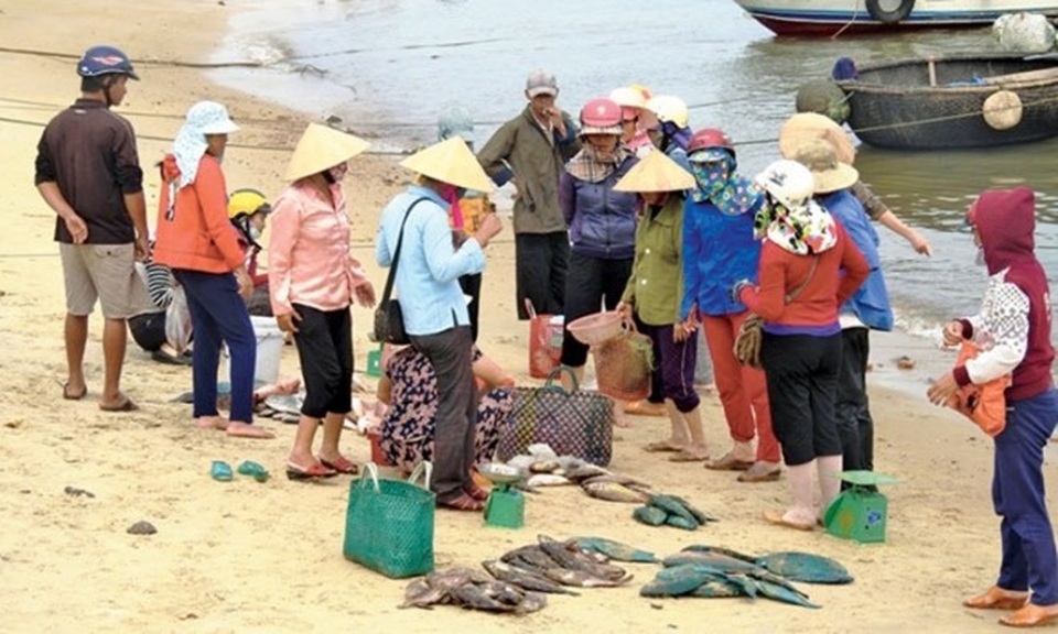 Ban hành 3 chính sách hỗ trợ người dân gặp sự cố môi trường biển miền Trung - 1
Ngư dân chịu nhiều thiệt hại vì sự cố môi trường biển miền Trung. (Ảnh: TL)