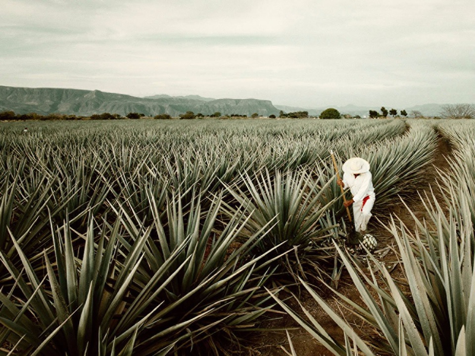 Những dịch vụ thượng lưu ở khách sạn "đáng đồng tiền bát gạo" - 4