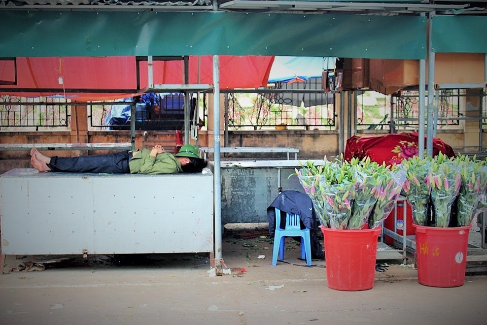 Trong chợ hoa Quảng An (Tây Hồ), người bán hàng tranh thủ duỗi người trên quầy hàng trống bên cạnh. Đặt hờ chiếc mũ cối để che bớt ánh sáng, người đàn ông vẫn thiếp đi mặc cho tiếng người, tiếng xe lao xao khắp cả khu chợ.