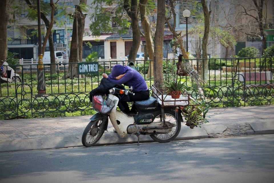 Người phụ nữ ngủ gục ngay trên chiếc xe chở đầy cây cảnh. Vệ đường cũng có thể trở thành nơi dừng chân cho vài phút chợp mắt quý báu khi mà con người ta đã quá mệt mỏi.