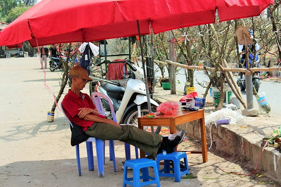 Dù Tết Nguyên đán đã đi qua, nhưng đào rừng vẫn được bày bán khá nhiều ở gần chợ hoa Quảng An. Người bán đào tranh thủ chợp mắt khi vắng khách.