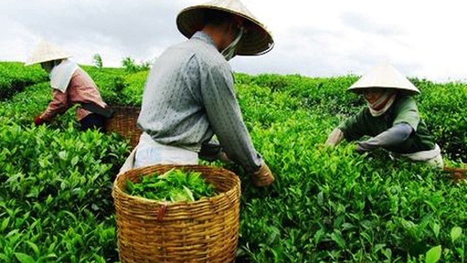 84 tác phẩm lọt và chung kết cuộc thi viết về giảm nghèo - 3 84 tác phẩm lọt và chung kết cuộc thi viết về giảm nghèo - 3
