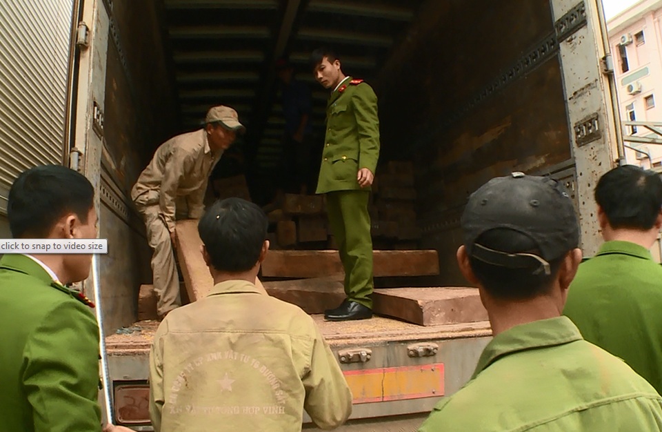 Lô gỗ đinh hương trị giá gần 4 tỷ đồng ngụy trang trong xe chở nông sản - 2 Hai tài xế không xuất trình được giấy tờ hợp lệ liên quan đến số gỗ nói trên.