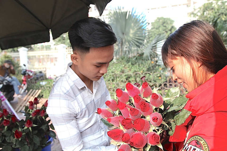 Những bông hoa hồng đẹp có giá 15-20 ngàn đồng/bông.