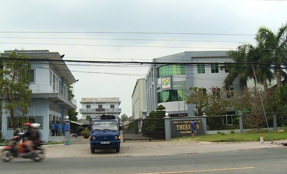 Nông dân nuôi cá tra trong chuỗi liên kết lo mất nhà… vì ngân hàng siết nợ - 3 Môi hình chuỗi liên kết là rất hay, hiểu quả, tuy nhiên từ chuyện Tổng giám đốc công ty Thuận An đi công tác rồi ở luôn nước ngoài đã làm cả chục hộ dân, ngân hàng khổ sở...