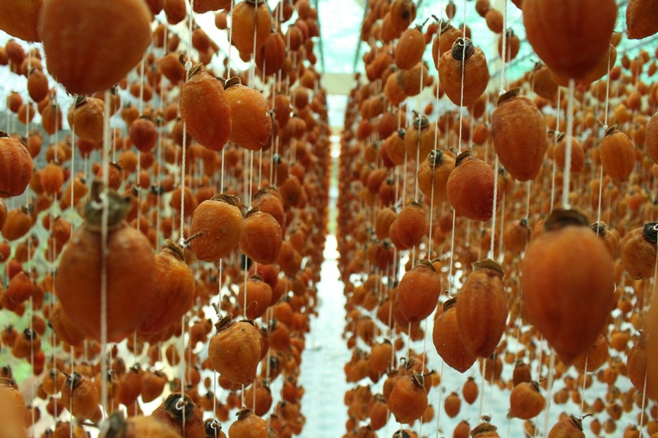 Sau 1 thời gian hồng se lại và ra mật