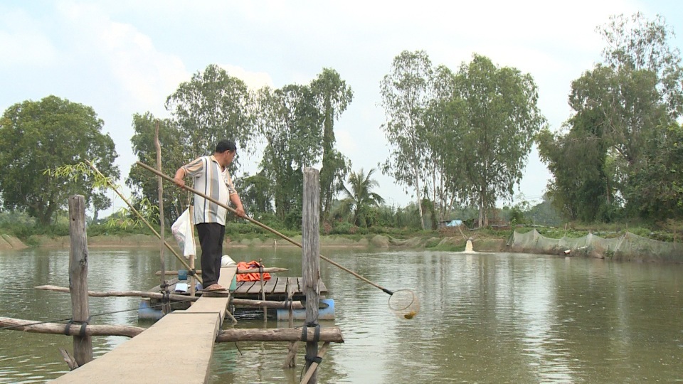 Nông dân nuôi cá tra trong chuỗi liên kết lo mất nhà… vì ngân hàng siết nợ - 2 Khi tham gia chuỗi liên kết, các hộ dân thuế chấp tài sản, tiền chênh lệch khi giao cá không được ngân hàng giải ngân đã đầy nhiều hộ dân lâm vào cảnh khó khăn...