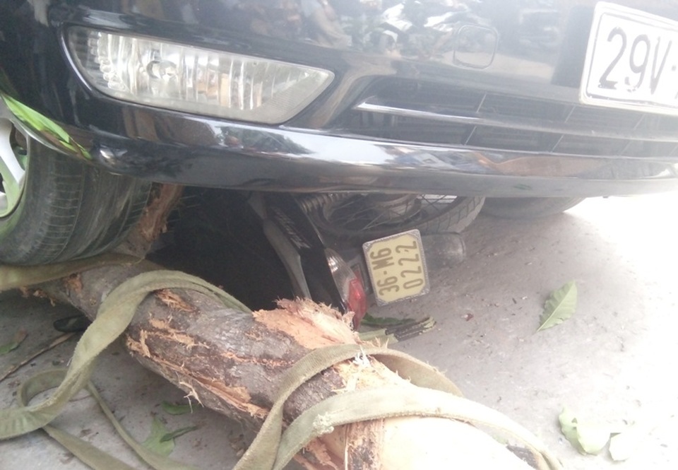 Ô tô “hạ” cây xanh, cán nhiều xe máy, cuốn thiếu nữ vào gầm - 5