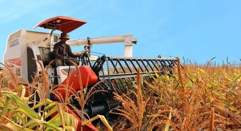 Cổ phiếu Hoàng Anh Gia Lai liên tục giảm giá, "bốc hơi" hơn 14% - 1 Chuyển đổi trái phiếu sang cổ phiếu là một trong những phương thức để giải quyết vấn đề vay vốn của doanh nghiệp