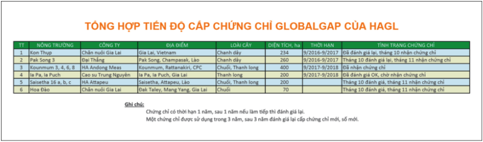 Áp dụng GlobalGAP, trái cây HAGL không đủ hàng bán cho các đối tác - 2 Áp dụng GlobalGAP, trái cây HAGL không đủ hàng bán cho các đối tác - 2