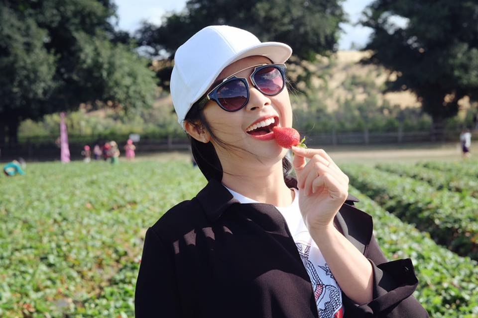 Hái dâu ở Strawberry Farm Bacchus Marsh, tiểu bang Victoria.