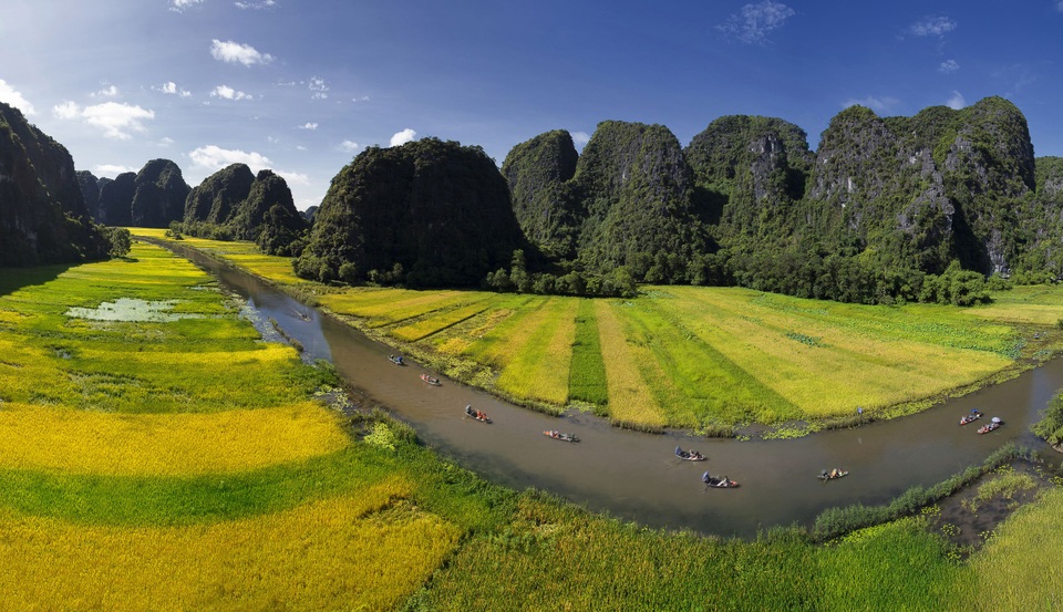 Đẹp ngỡ ngàng Tam Cốc mùa lúa chín - 7
Mùa này, thường sau 9 giờ sáng, số lượng du khắc bắt đầu tăng, bức hoạ đồng quê thêm màu sôi động