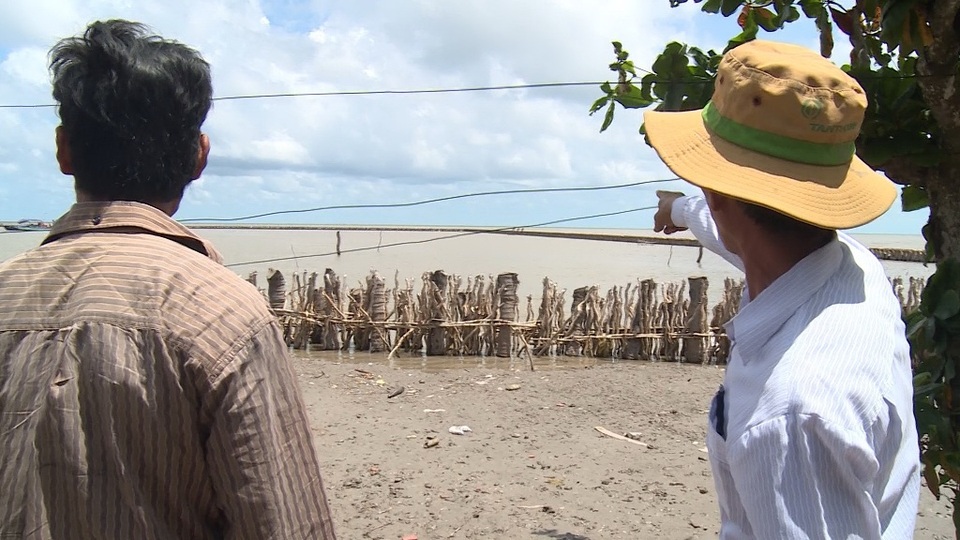 Do không có kinh phí làm bờ kè kiên cố bằng bê tông, tỉnh Kiên Giang chỉ làm kè tạm bợ thế này