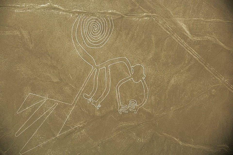 Các đường vẽ Nazca ở Peru được tạo ra để thu hút người ngoài hành tinh? - 3
Hình vẽ khỉ dài tới 105 mét.