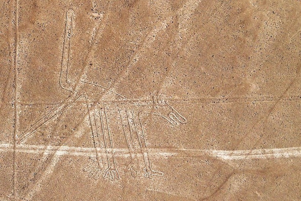 Các đường vẽ Nazca ở Peru được tạo ra để thu hút người ngoài hành tinh? - 4
Hình vẽ chó dài 52 mét.