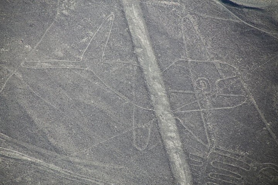 Các đường vẽ Nazca ở Peru được tạo ra để thu hút người ngoài hành tinh? - 5
Cá voi.