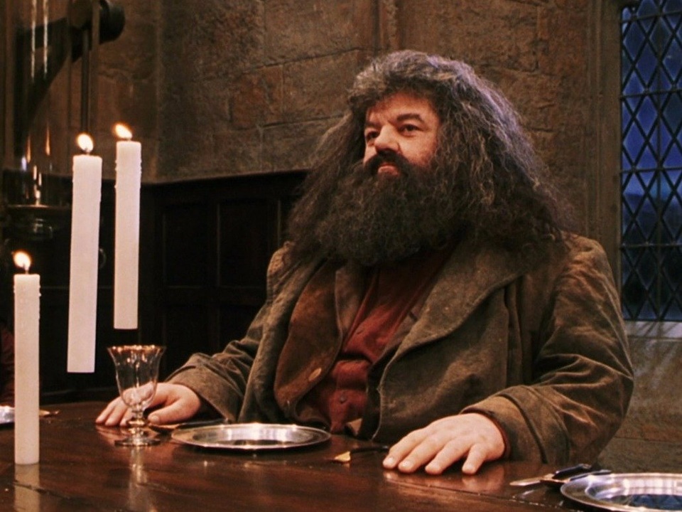 Dàn “sao” phim Harry Potter ngày ấy - bây giờ - 9
Robbie Coltrane - vai bác khổng lồ Rubeus Hagrid tốt bụng và yêu động vật. Robbie Coltrane là diễn viên nổi tiếng người Scotland từ trước khi tham gia phim Harry Potter, ông từng tham gia 2 phim Điệp viên 007 mang tên Mắt vàng và Thế giới không đủ