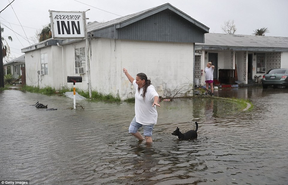 Mỹ: Texas hứng bão mạnh nhất trong hơn 50 năm, 1 người chết - 18
Sau khi đổ bộ vào Texas, bão Harvey đã suy yếu nhưng được dự báo sẽ còn tiếp tục ảnh hưởng tới các khu vực mà nó quét qua. Mưa lớn cũng được cảnh báo tiếp tục đổ xuống Texas trong những ngày tới. (Ảnh: Getty)