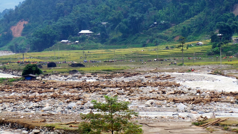 Lũ san phẳng 4 ngôi nhà, suối đổi dòng sau một đêm - 11 Lượng củi khổng lồ bị lũ cuốn theo, rải đầy lòng suối.