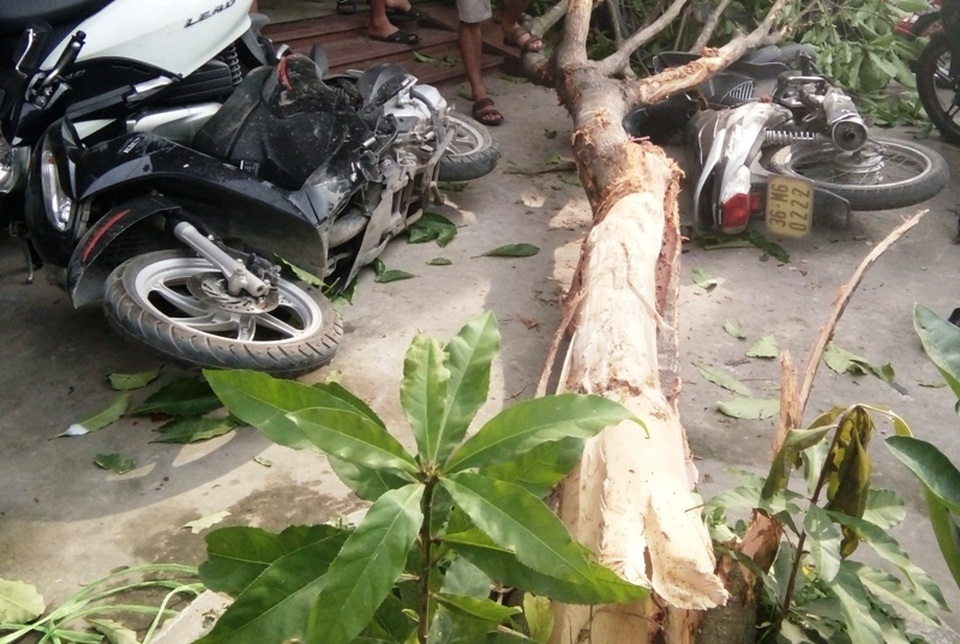 Hiện trường vụ tai nạn