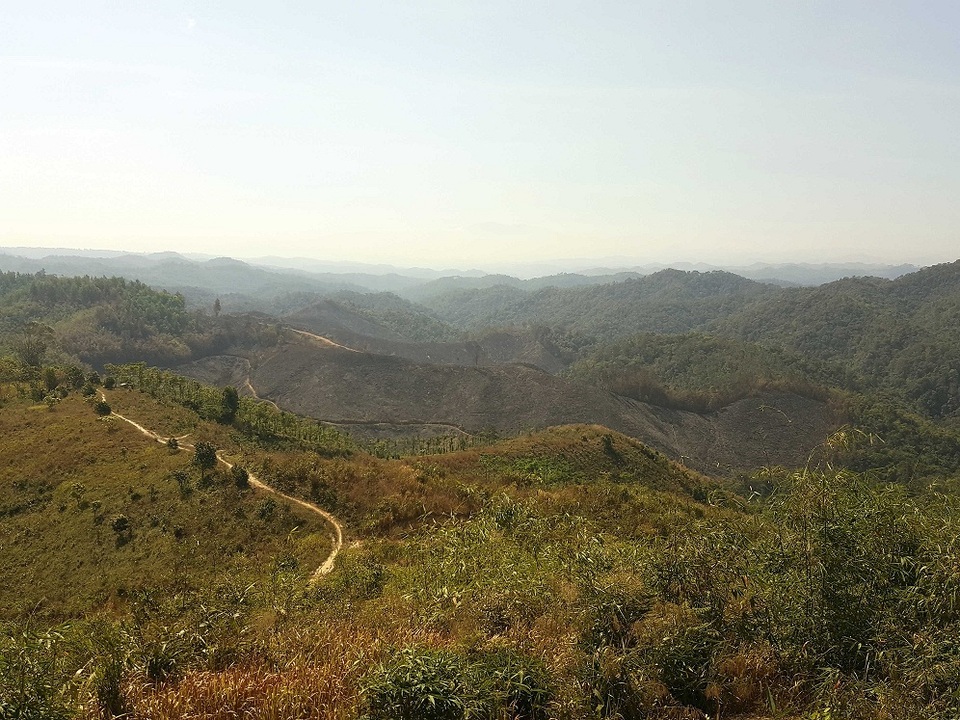 Phát hiện hàng chục hecta rừng bị phá trắng, đốt trụi - 1 
Hiện trường vụ phá hàng chục hecta rừng tại Đắk Nông mới xảy ra.